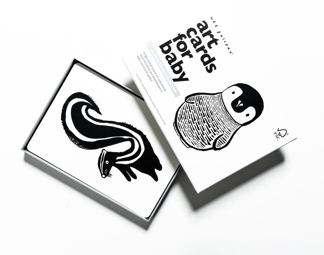 Wee Gallery Art Cards Black & White Collection